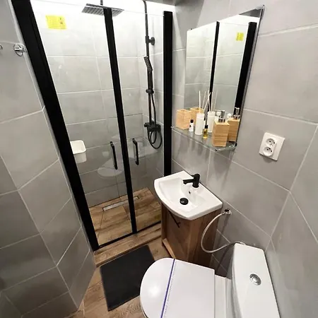 Paris Apartments Катовіце Екстер'єр фото