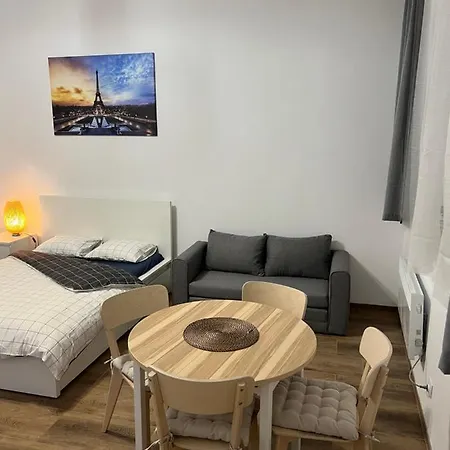 Paris Apartments Катовіце Екстер'єр фото